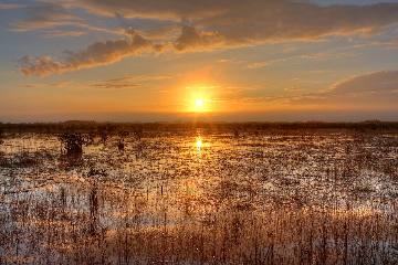 Sunset over the River of Grass