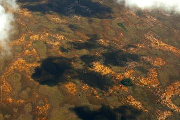 Sawgrass wetlands from above