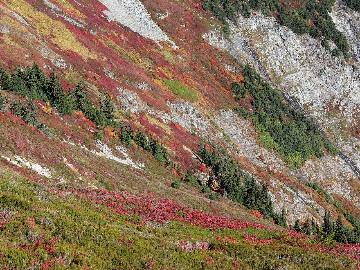 Autumn foliage on the Sahale Arm slopes
