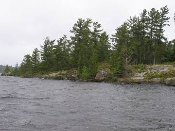A forested island on Rainy Lake